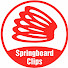 se5Ja4dHTRU-channel-avatar-Springboard Clips