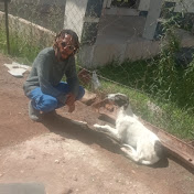 The stupendous hunting dogs  EC 
