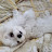 @비온뒤맑음1313