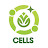 Cells HNI Official