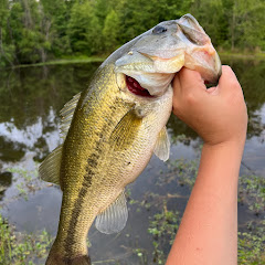 C & C Southern Outdoors
