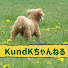 B4vfyZ1CuHE-channel-avatar-K und Kちゃんねる
