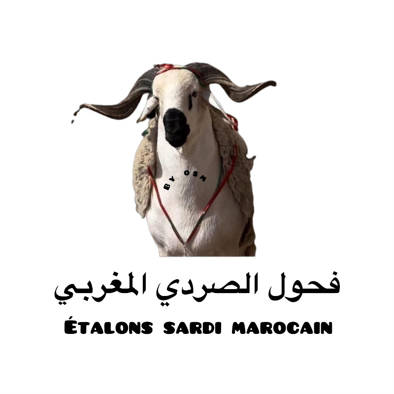 فحول الصردي المغربي Logo
