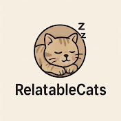 RelatableCats