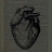 @صهيبابوسعده-ز7م