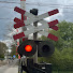 PyLo8JPjDpQ-channel-avatar-Dutch Railroads