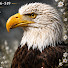 NnXnb5eO-nc-channel-avatar-LOVE YOU JACKIE