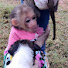 5O-NM5sDVwg-channel-avatar-Monkey Care SBF