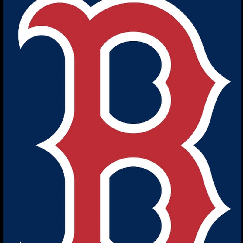 Red Sox fan 95