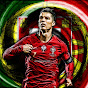Ronaldo maxhub