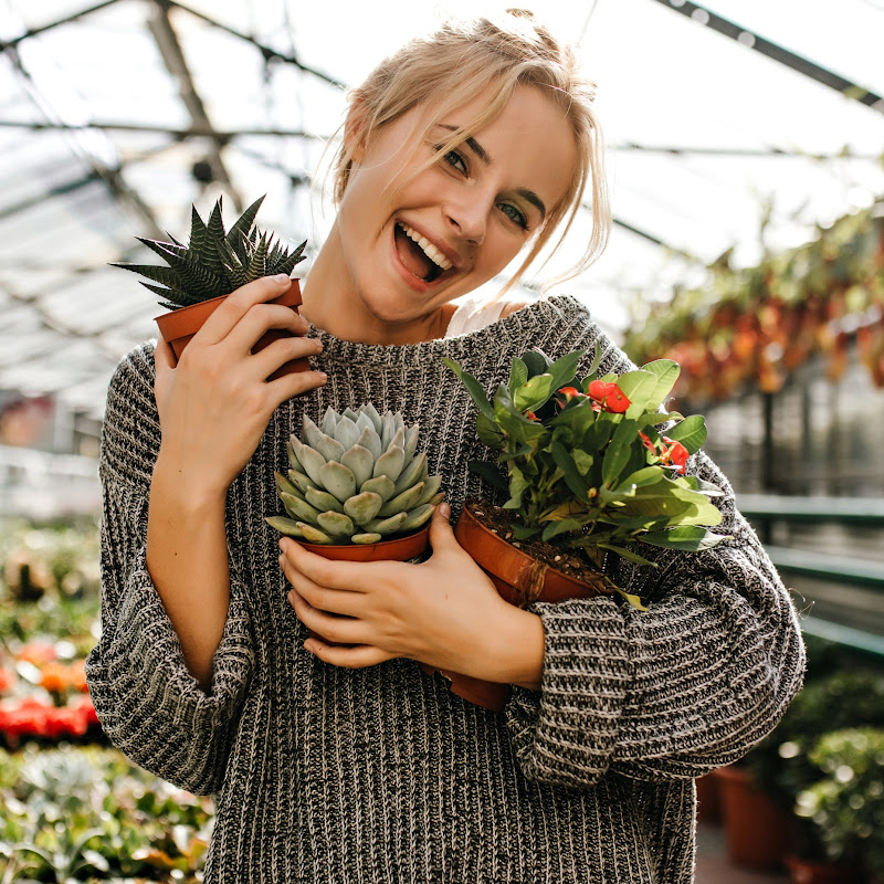 All About Plants Logo