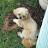 @littlemissnutters Avatar
