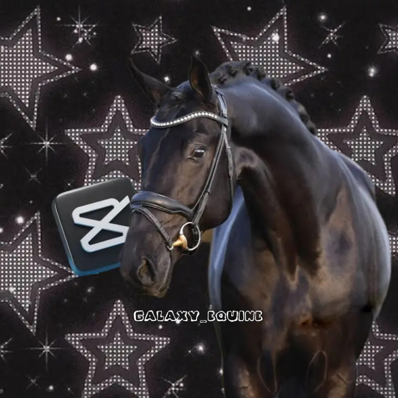 Galaxy_Equine