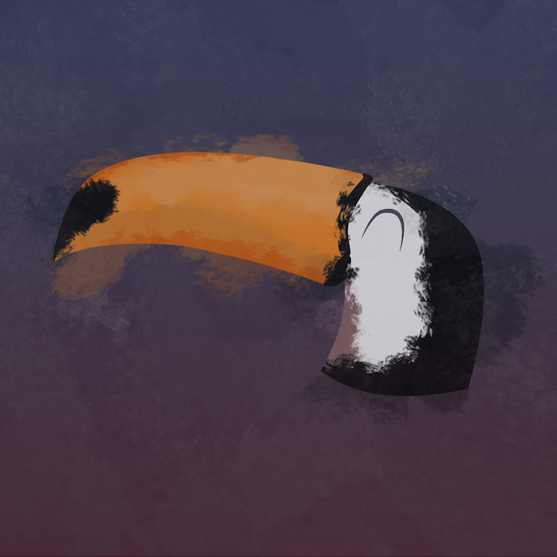Toucan