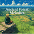 N8t9nQ2P9uk-channel-avatar-Ancient Forest Melodies