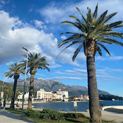 Montenegro Vibes: Travel, Live, Invest