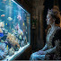 3_5q6oWTefU-channel-avatar-AquariumQueen