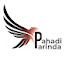 kh1OMwW7KFk-channel-avatar-Pahadi Parinda