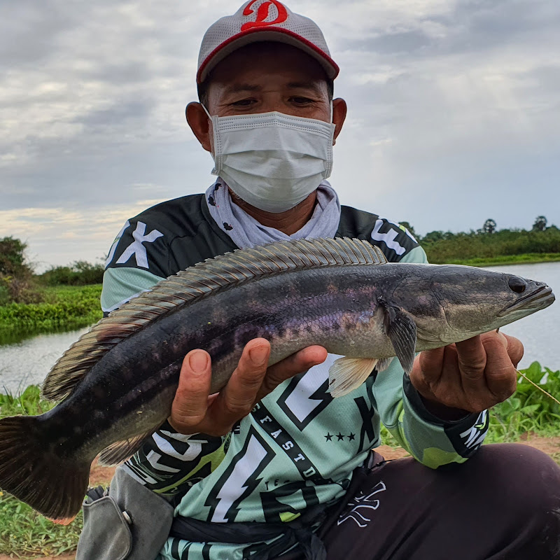 Channel Avatar