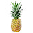 @pineapple_onyt