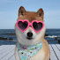 -JmravaRH5c-channel-avatar-Shibber