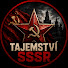 2xY21ONLfTI-channel-avatar-Rudý Archiv