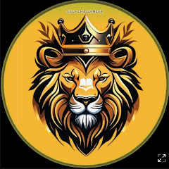 SILLY CHALLENGER シ︎