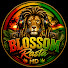 ELAUJt3u6CQ-channel-avatar-BLOSSOM RASTA HD