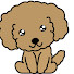 6TFm8S7RPu4-channel-avatar-独身と犬の全力生活  Best single life with a dog