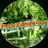 @pantanito12