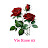 Vie Rose 83