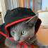 Qhzd5dI_KOQ-channel-avatar-fumifumi_channel