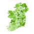 VCqgI1ux7Uw-channel-avatar-Grá Amháin