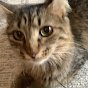 Kitty Tube YouTube Profile Photo