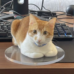 Pro 喵アイコン画像