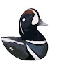 theBirdsGuy logo