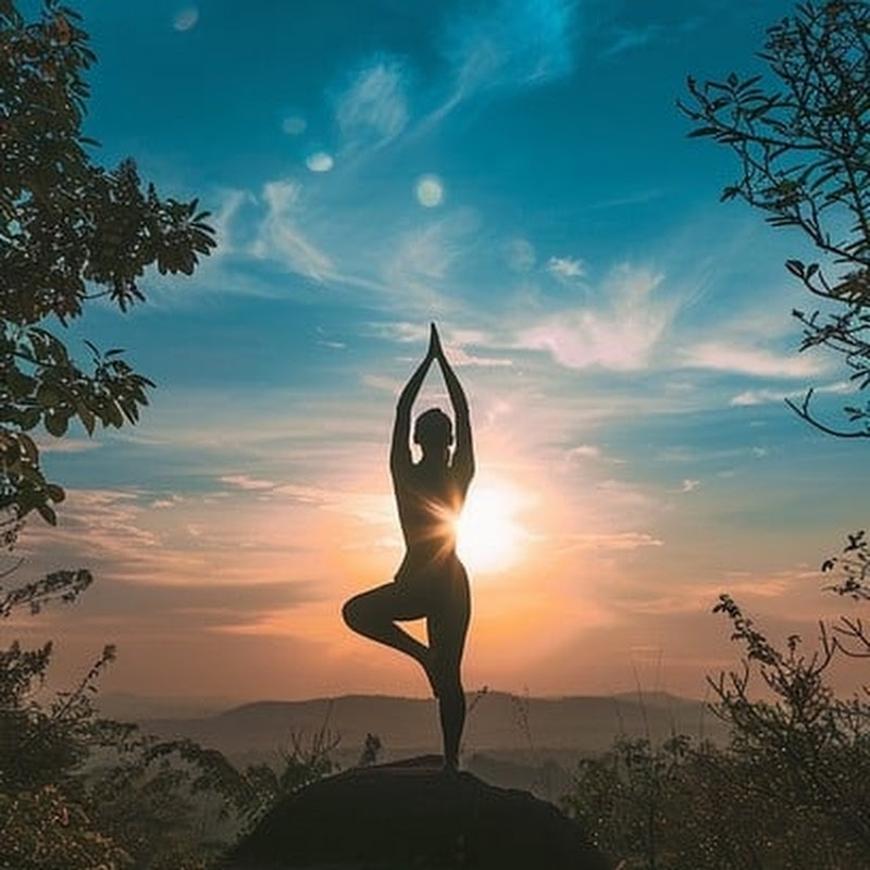 yog mantra fitness 