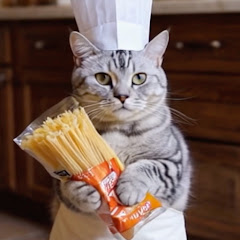 Cat Chef Cooking - AIdoga