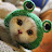 AppealsCat