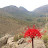 @2mxplore Avatar