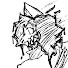 mZApz5VzJwQ-channel-avatar-Taleosss