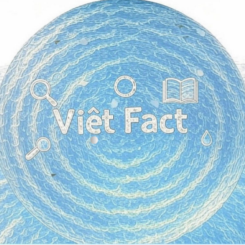 Việt Fact