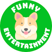 Funny Entertainment