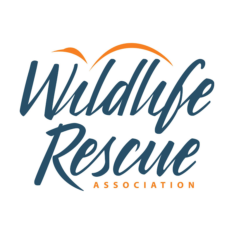 Wildlife Rescue Association of BC profile avatar