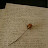 @-_bassum_-293