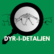 Dyr i Detaljen