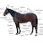 @horse_examiner