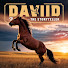 Kne7bVilrr8-channel-avatar-David - The Storyteller