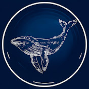 Mr. OCEAN