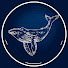 wikvl260baA-channel-avatar-Mr. OCEAN